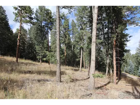 8153 Stags Leap Trl, Morrison, CO 80465 photo 7