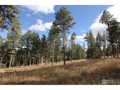 8153 Stags Leap Trl, Morrison, CO 80465 photo 13