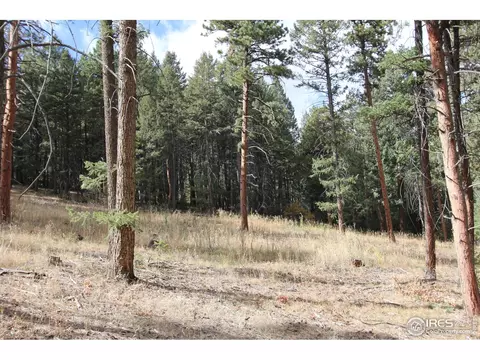 8153 Stags Leap Trl, Morrison, CO 80465 photo 3