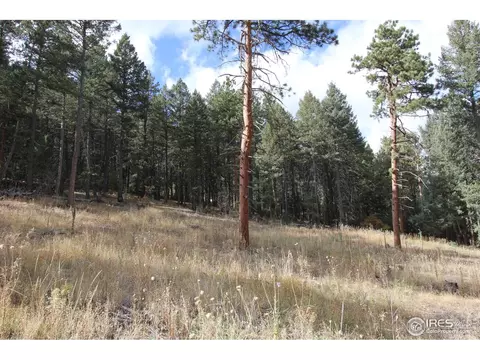 8153 Stags Leap Trl, Morrison, CO 80465 photo 6