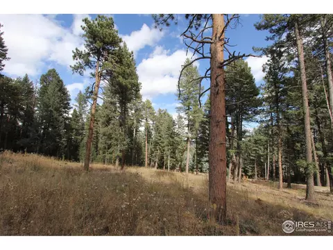 8153 Stags Leap Trl, Morrison, CO 80465 photo 14