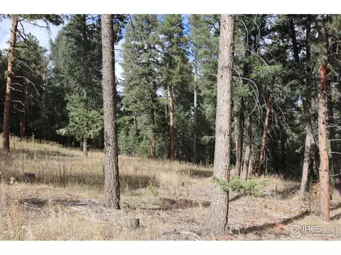 8153 Stags Leap Trl, Morrison, CO 80465 photo 8