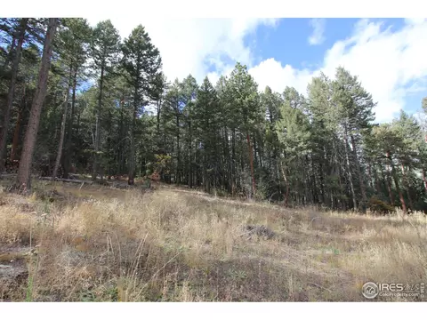 8153 Stags Leap Trl, Morrison, CO 80465 photo 10