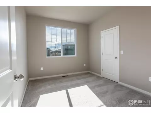 3786 Beech Tree St, Wellington, CO 80549 photo 19