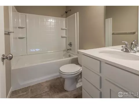 3786 Beech Tree St, Wellington, CO 80549 photo 20