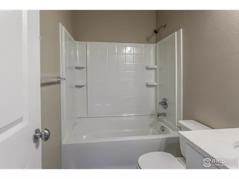 3786 Beech Tree St, Wellington, CO 80549 photo 21