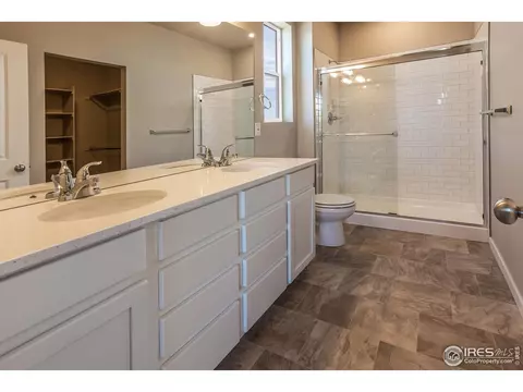 3786 Beech Tree St, Wellington, CO 80549 photo 16