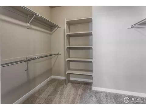 3786 Beech Tree St, Wellington, CO 80549 photo 18