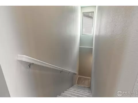 3786 Beech Tree St, Wellington, CO 80549 photo 23