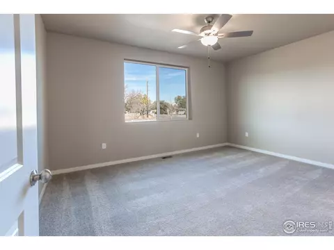 3786 Beech Tree St, Wellington, CO 80549 photo 15