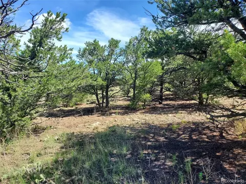 103 Mountain Spring Ln, Mosca, CO 81146
