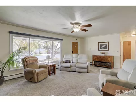 410 5th St, Windsor, CO 80550 photo 6