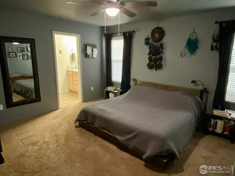 754 Park Edge Cir, Windsor, CO 80550 photo 7