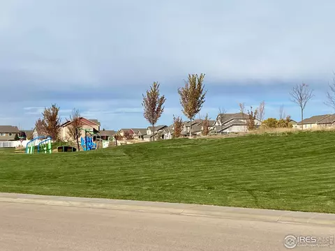 754 Park Edge Cir, Windsor, CO 80550 photo 16