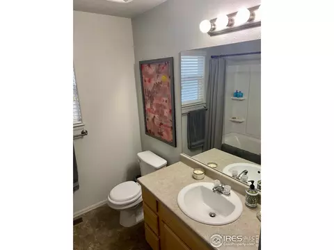 754 Park Edge Cir, Windsor, CO 80550 photo 9