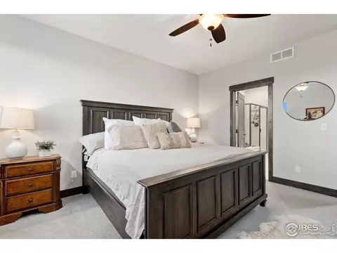 5566 Maidenhead Dr, Windsor, CO 80550 photo 20