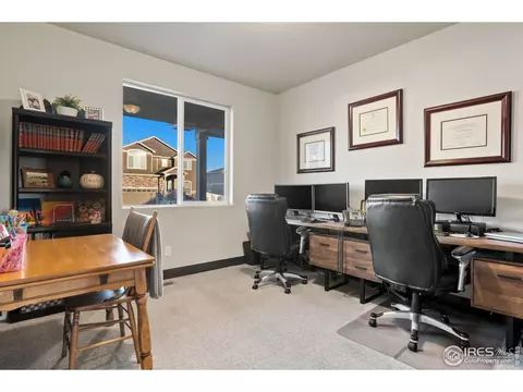 5566 Maidenhead Dr, Windsor, CO 80550 photo 24