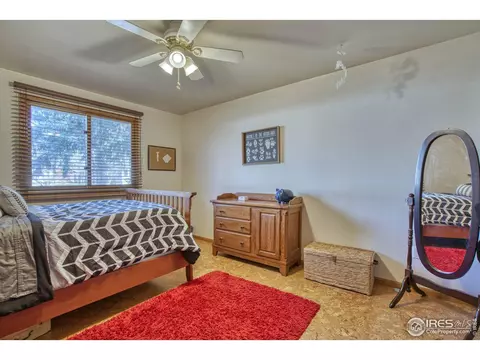 555 Mayo Ct, Berthoud, CO 80513 photo 16