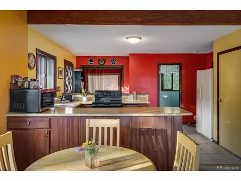 302 Foxtail Dr, Black Hawk, CO 80422 photo 9