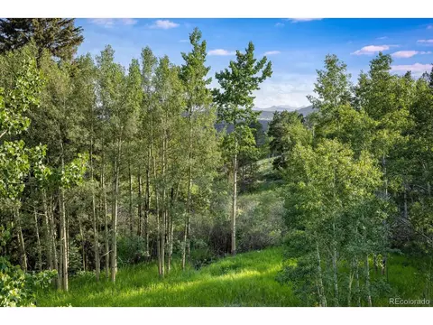 302 Foxtail Dr, Black Hawk, CO 80422 photo 18