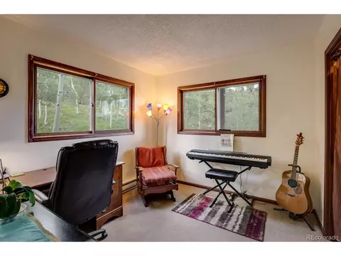 302 Foxtail Dr, Black Hawk, CO 80422 photo 21