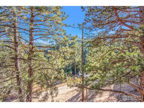 102 Overpine Dr, Lyons, CO 80540 photo 18