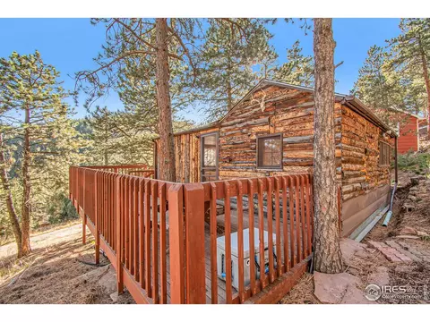 102 Overpine Dr, Lyons, CO 80540 photo 19