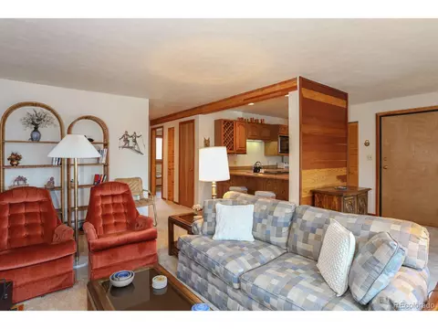 Undisclosed, Silverthorne, CO 80498 photo 8