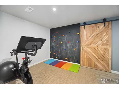 1595 First Light Dr, Windsor, CO 80550 photo 23