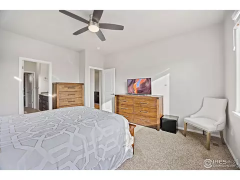 1595 First Light Dr, Windsor, CO 80550 photo 17