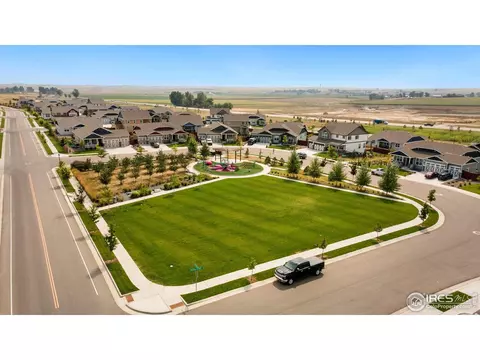 1595 First Light Dr, Windsor, CO 80550 photo 34