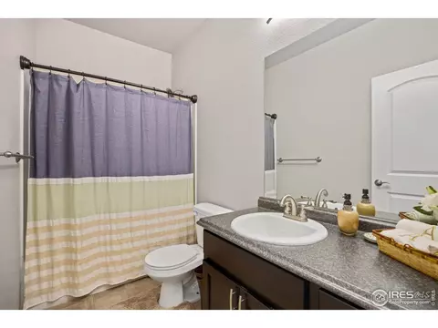 1595 First Light Dr, Windsor, CO 80550 photo 6
