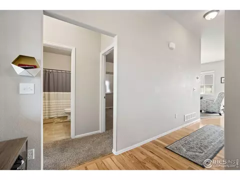 1595 First Light Dr, Windsor, CO 80550 photo 4