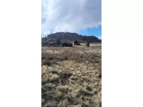 265 Hangmans Ct, Como, CO 80432 photo 14