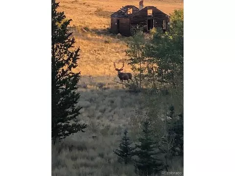 265 Hangmans Ct, Como, CO 80432 photo 20