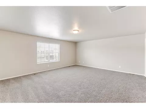 5382 Cedar St, Longmont, CO 80504 photo 15