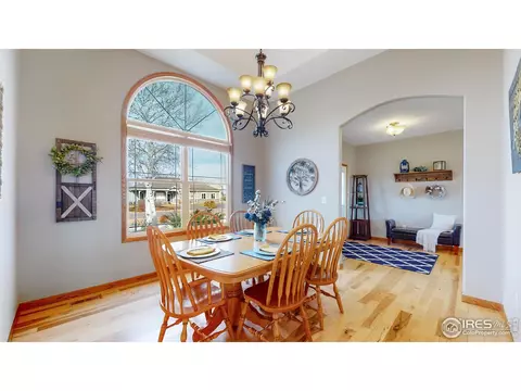1410 Red Fox Cir, Severance, CO 80550 photo 9