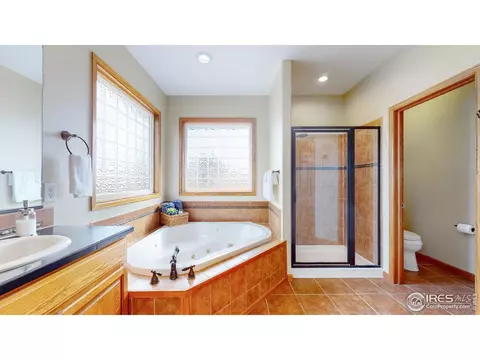 1410 Red Fox Cir, Severance, CO 80550 photo 16