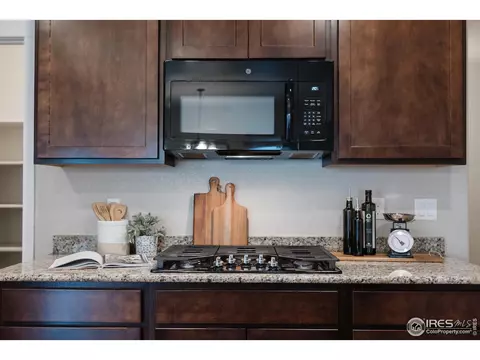 947 Tail Water Dr, Windsor, CO 80550 photo 10