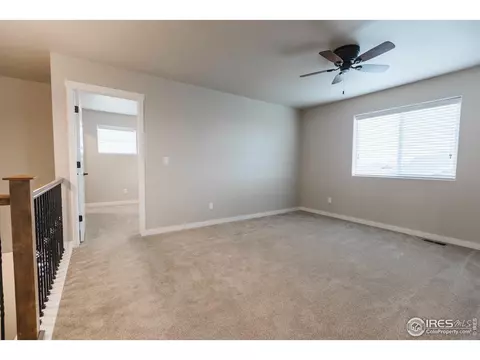 947 Tail Water Dr, Windsor, CO 80550 photo 25