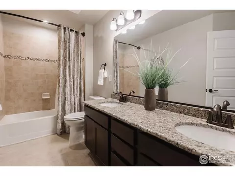 947 Tail Water Dr, Windsor, CO 80550 photo 26