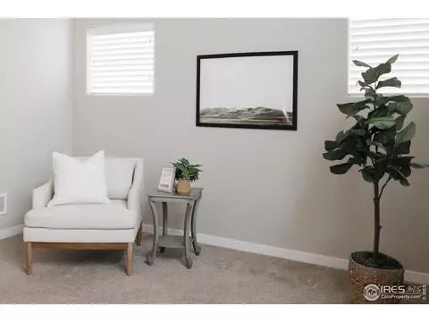 947 Tail Water Dr, Windsor, CO 80550 photo 19