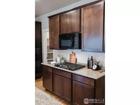 947 Tail Water Dr, Windsor, CO 80550 photo 11
