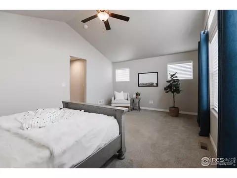 947 Tail Water Dr, Windsor, CO 80550 photo 18