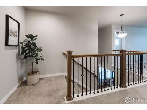 947 Tail Water Dr, Windsor, CO 80550 photo 16