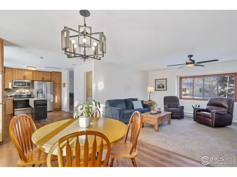 3217 Rifle Rd, Laporte, CO 80535 photo 6