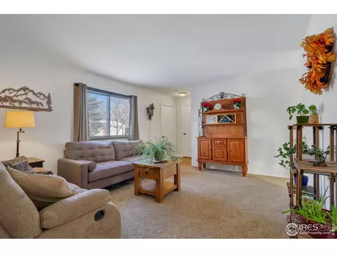 3217 Rifle Rd, Laporte, CO 80535 photo 17