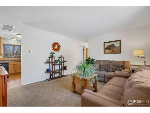 3217 Rifle Rd, Laporte, CO 80535 photo 5