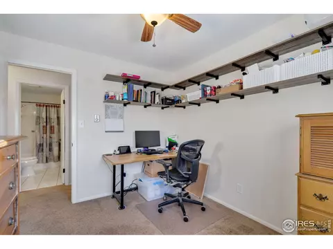 3217 Rifle Rd, Laporte, CO 80535 photo 24