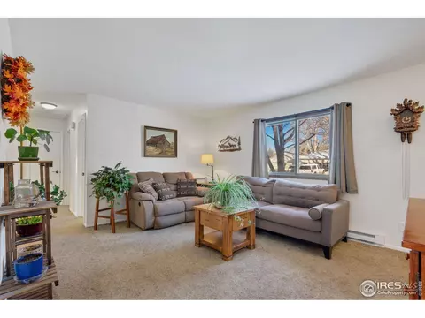 3217 Rifle Rd, Laporte, CO 80535 photo 16